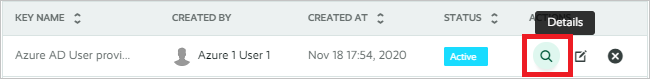 Screenshot showing the ___location of the Details icon, which is a magnifying glass, in the Playvox user interface.