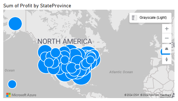 Screenshot of the map visual showing sum of profit by ___location.
