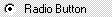 vxRadio VisualStudioHTMLpageRadioButton screenshot